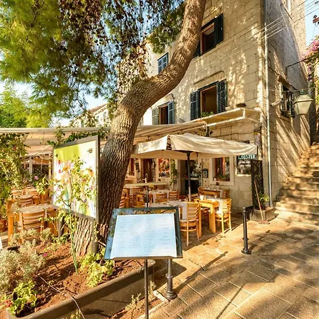 Petar * 챠브타트