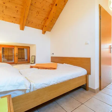 Petar * 챠브타트